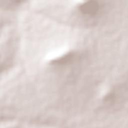 Santo Domingo Aztacameca Terrain Map