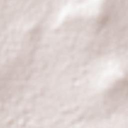 Nopaltepec Terrain Map