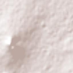 San Isidro Terrain Map