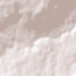 Villa Cuauhtémoc Terrain Map