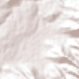 Loma Alta Terrain Map