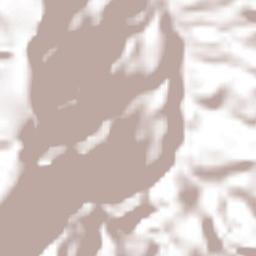 Salvador Díaz Mirón Terrain Map