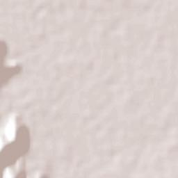 Autlán de Navarro Terrain Map