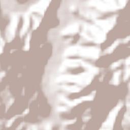 La Garita Jalisco Terrain Map