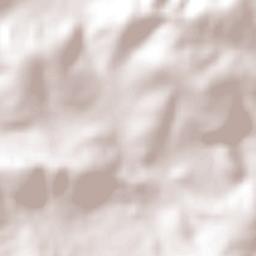 La Aldea Terrain Map