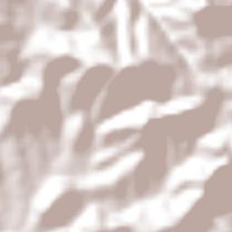 Rincón de los Pirules Terrain Map