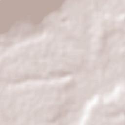 Ejido del Tunal Nenaxi Terrain Map