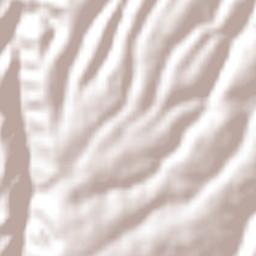 Villa del Carbón Terrain Map