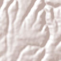 Santa Gertrudis Terrain Map