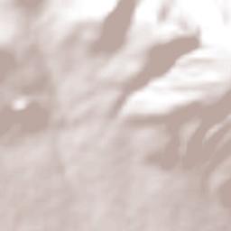 Santa María Palapa Terrain Map