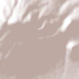 Colonia los Remedios Terrain Map