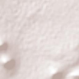 San Miguel Atepoxco Terrain Map