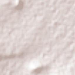 Jaltepec Terrain Map