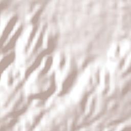 Cuauhtamingo Terrain Map