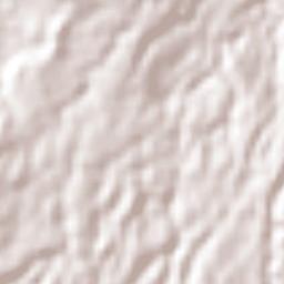 Miguel Hidalgo Terrain Map