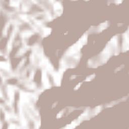 Juan Marcos (San José Buenavista) Terrain Map