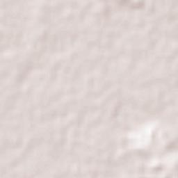 Tikinmul Terrain Map