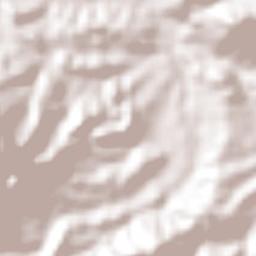 Los Hidalgos Terrain Map