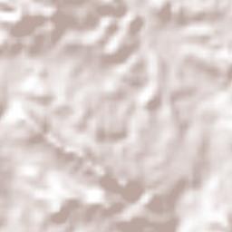 Guananico Terrain Map