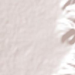 Ciudad Guzmán Terrain Map