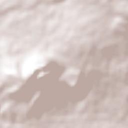 Villas de la Loma Terrain Map