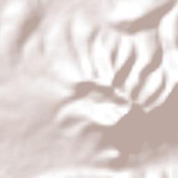 Puerto de Buenavista (Lázaro Cárdenas) Terrain Map