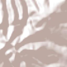 Concepción la Venta Terrain Map