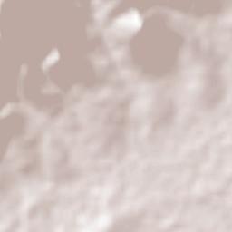 Colonia Guadalupe Terrain Map