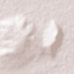 Lomas de Tenopalco Terrain Map