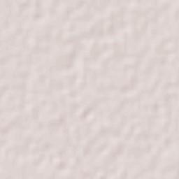 Ex-Hacienda Santa Inés Terrain Map