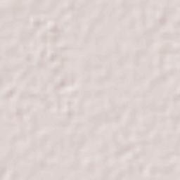 San Miguel Jaltocan Terrain Map