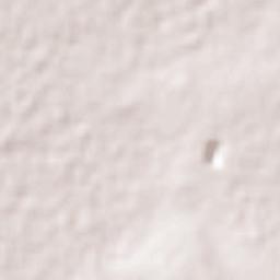 San Martín Azcatepec Terrain Map