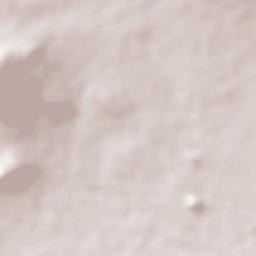 San Martín de las Pirámides Terrain Map