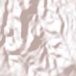 Ignacio Zaragoza Terrain Map