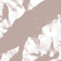 Las Minas Terrain Map