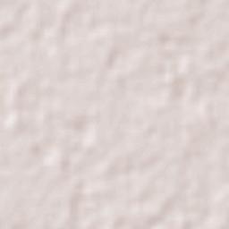 X-pichil Terrain Map