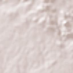 Villa Elisa Terrain Map