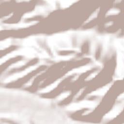 El Jazmín Terrain Map