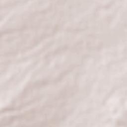 Ciudad Guzmán CERESO Terrain Map