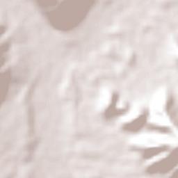 Tamazula de Gordiano Terrain Map