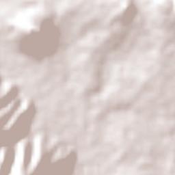 Nahuatzén Terrain Map