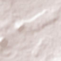 San Antonio Terrain Map