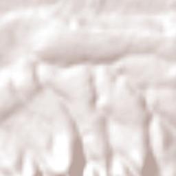 Montaña Monarca (Punta Altozano) Terrain Map