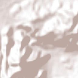 San Lucas Huarirapeo (La Mesa de San Lucas) Terrain Map