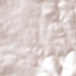 Ejido la Soledad Terrain Map