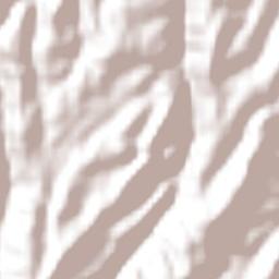 La Esperanza Terrain Map