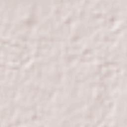 Santiago Teyahualco Terrain Map