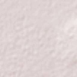 Ojo de Agua Terrain Map