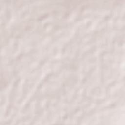 Atlatongo Terrain Map