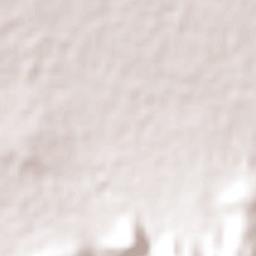 San Sebastián Xolalpa Terrain Map